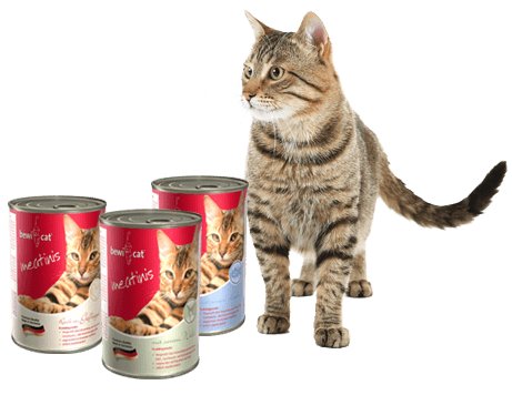 Bewi Cat Feuchtfutter